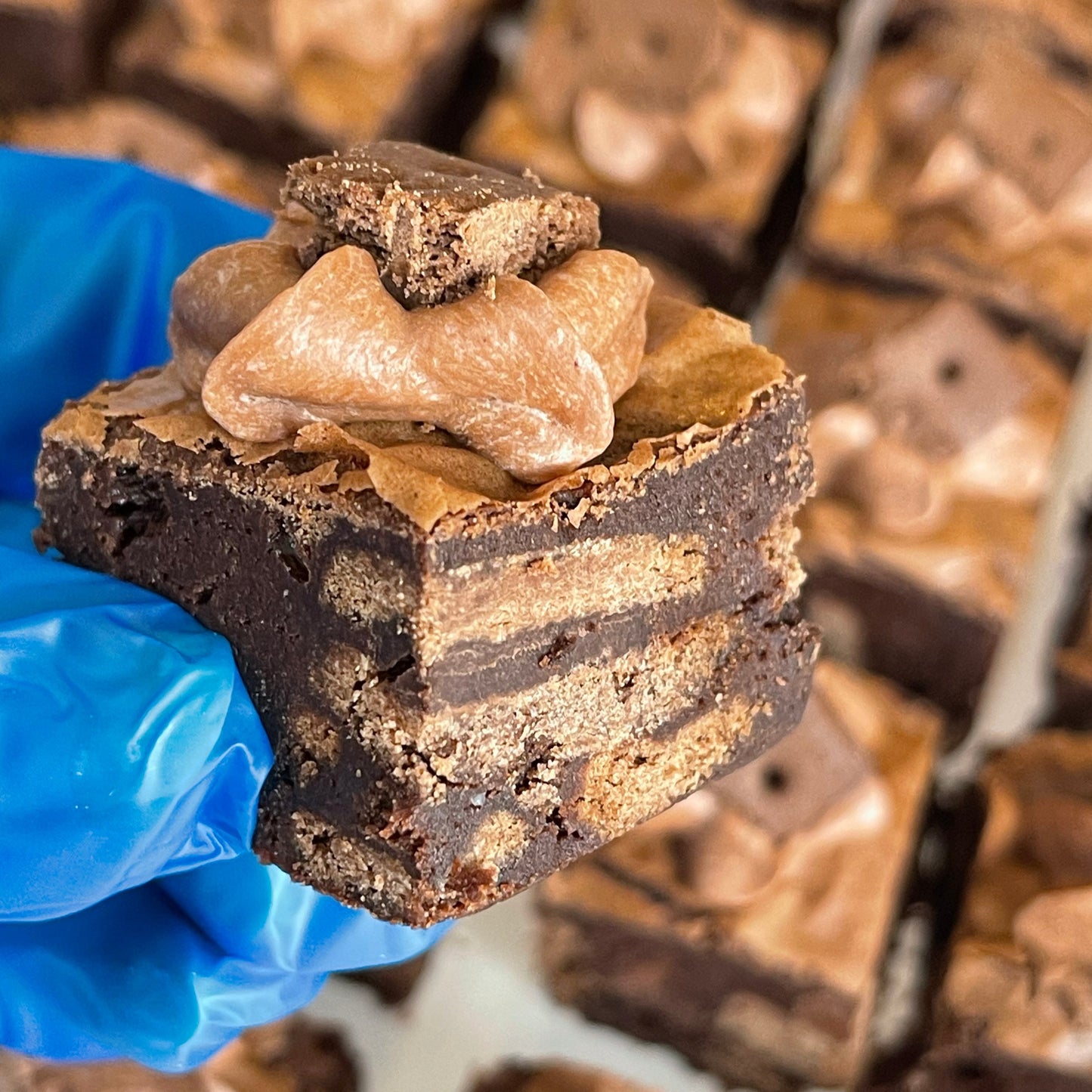Bourbon Biscuit Brownie